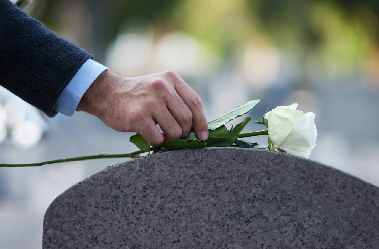 A sírkőre egy szál fehér rózsát helyez egy férfi